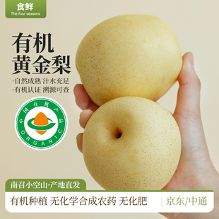 有机梨黄金梨自然成熟新鲜时令水果清甜多汁榨汁有机认证露天种植