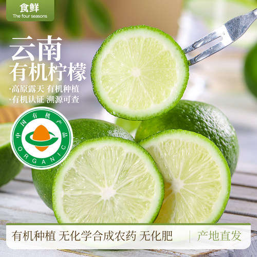云南有机柠檬自然树上成熟新鲜水果泡水调味饮用口感纯粹现摘柠檬