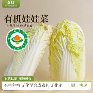 有机娃娃菜时令有机认证蔬菜新鲜青菜小白菜火锅食材辅食顺丰 包邮