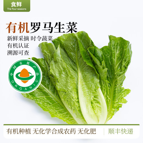 有机生菜罗马生菜新鲜采摘时令蔬菜自然生长沙拉凉拌烹饪顺丰包邮