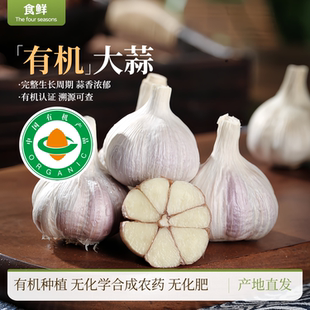 有机大蒜干蒜多蒜瓣自然成熟新鲜有机蔬菜大蒜头辛辣炒菜调料烹饪