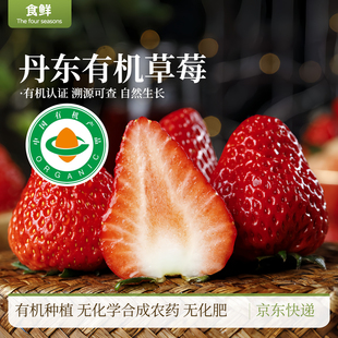 有机草莓有机种植安全放心现摘产地直发宝宝孕妇新鲜水果京东 包邮