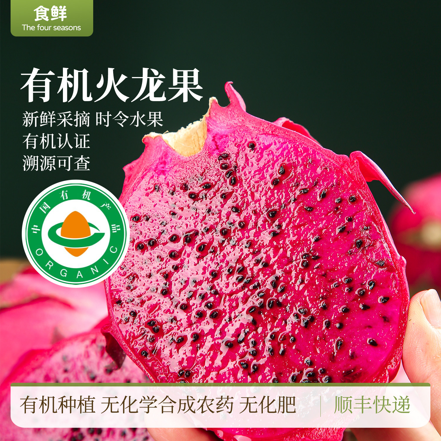 有机火龙果红心红肉露天种植自然树熟时令水果果香馥郁清甜多汁