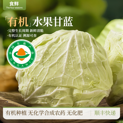 有机水果甘蓝新鲜有机时令蔬菜大头菜卷心菜沙拉凉拌烹饪清脆爽口