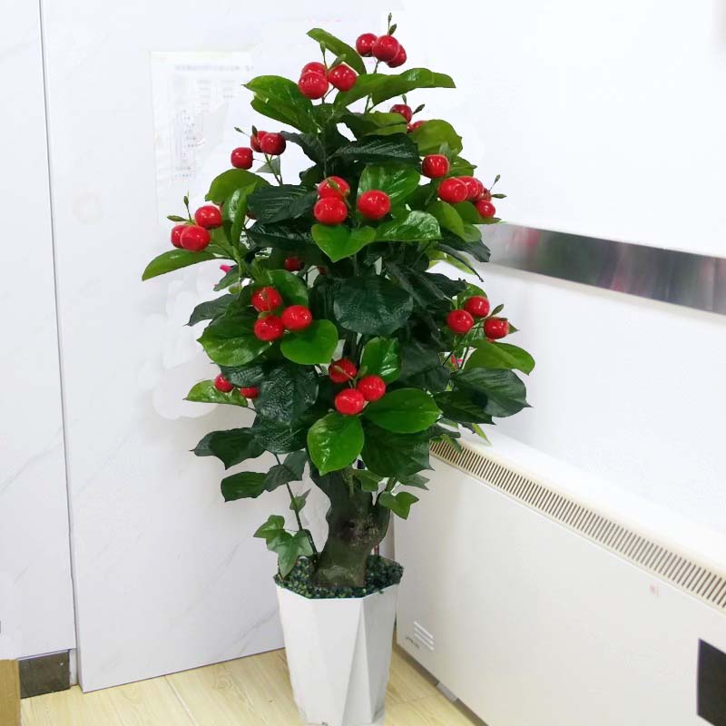 家里落地摆放塑料苹果树仿真植物