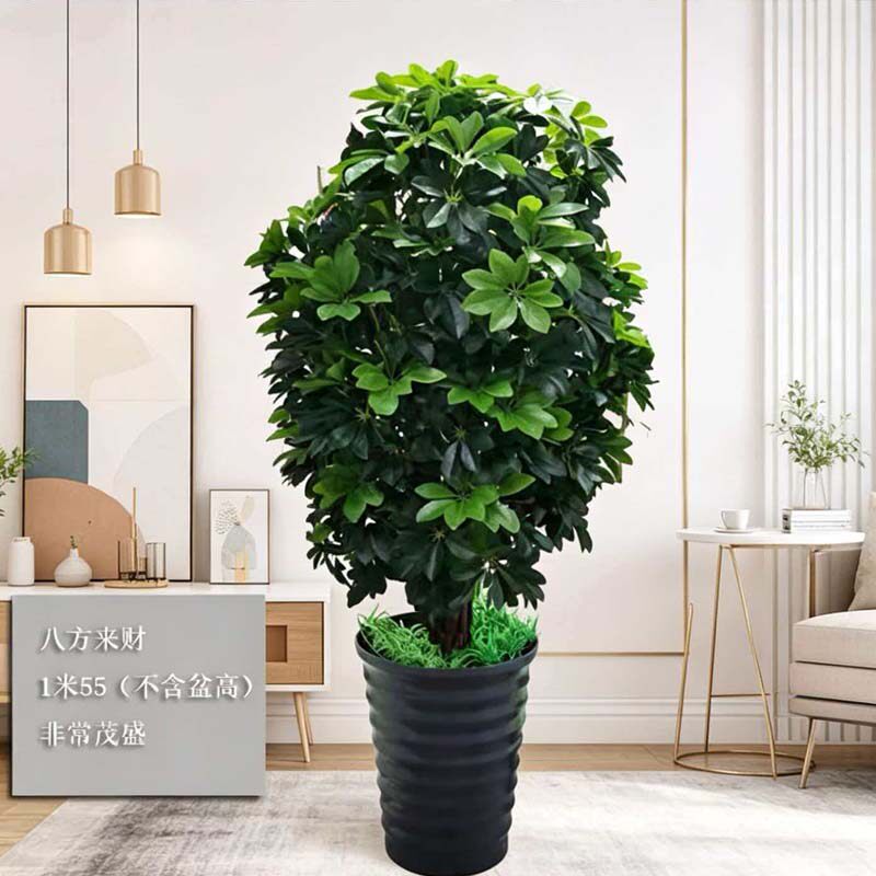 假发财树仿真植物招财盆栽客厅摆件塑料大型绿植室内装饰假花造景
