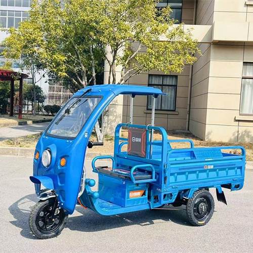 带棚电动三轮车成人货车接送孩子电瓶车农用摆摊电三轮拉货
