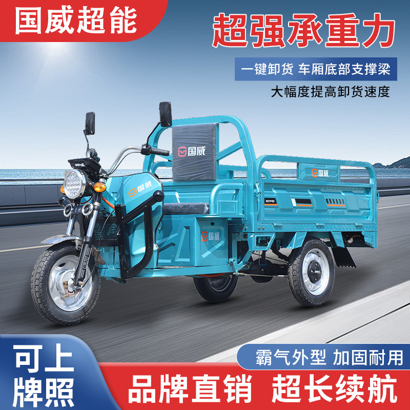 电动三轮车拉货家用载重爬坡王