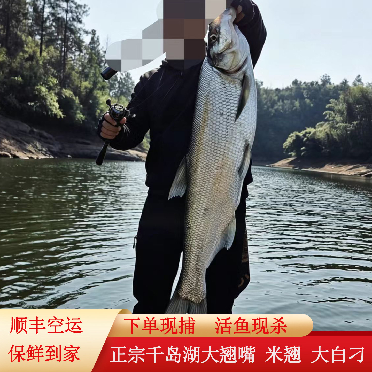 10斤千岛湖野钓翘嘴鱼假一赔十