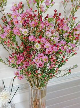 腊梅花鲜花云南基地直发插花瓶水养培冬季鲜切花同城速递耐寒花卉