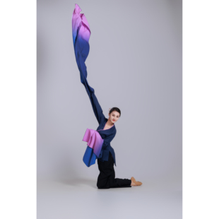 双面染【北舞同款】身韵巡礼袖舞蹁跹水袖服装表演演出集训练功服