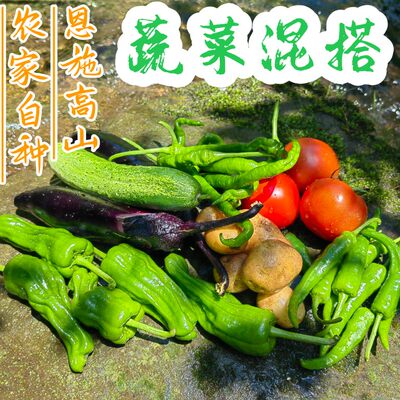 蔬菜恩施高山农家应季