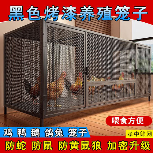 黑色烤漆防锈鸡笼子方管焊接加密网孔鸡鸭鹅鸽子兔养殖笼送货到村