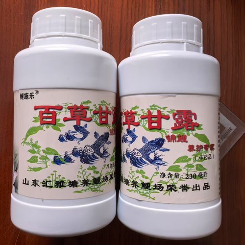 百草甘露锦鲤金鱼养护细菌交叉感染充血趴底烂鳍烂尾烂肉炸麟烂腮