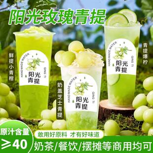 博多家园水果买手青蜜柚 杨梅果茸阳光玫瑰甜心车厘子三华李果酱