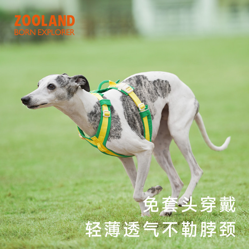 ZOOLAND宠物狗狗牵引绳工字型胸背带防爆冲幼小中大型犬遛狗绳子图片