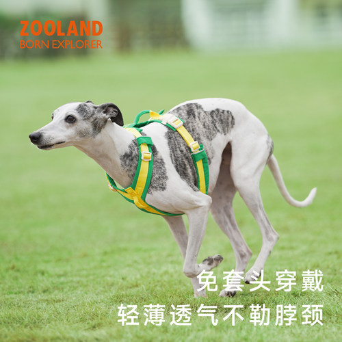 ZOOLAND宠物狗狗牵引绳工字型胸背带防爆冲幼小中大型犬遛狗绳子