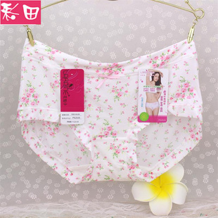 透气女士三角裤 女中腰冰丝印花速干夏季 头2535 彩田花仙子内裤 正品