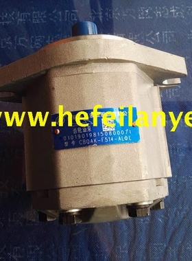 CBQAK-F514-ALΦL叉车齿轮泵长源液压合力16T25吨刹车制动助力