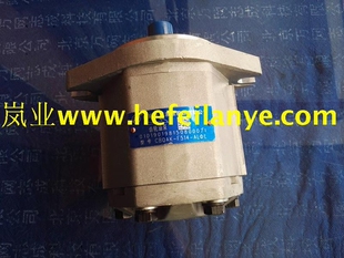 CBQAK ALΦL叉車齒輪泵長源液壓合力16T25噸剎車制動助力 F514