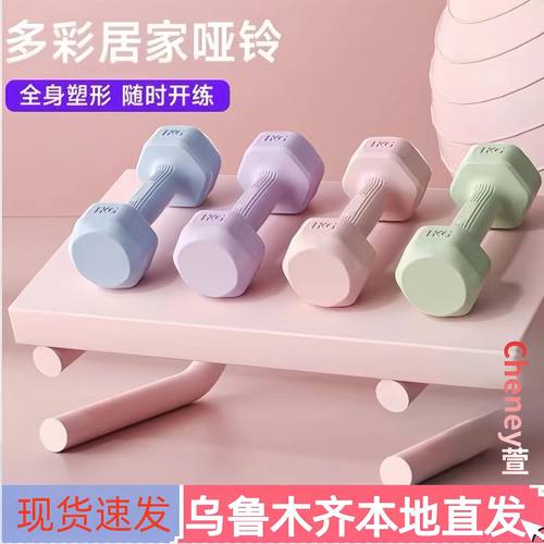 新疆哑铃练臂力肌家用女士健身