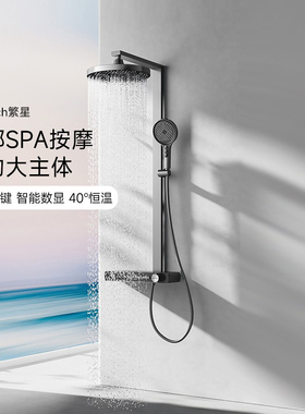 帝王洁具TC24008繁星恒温花洒淋浴套装压喷头淋浴器三出水置物台