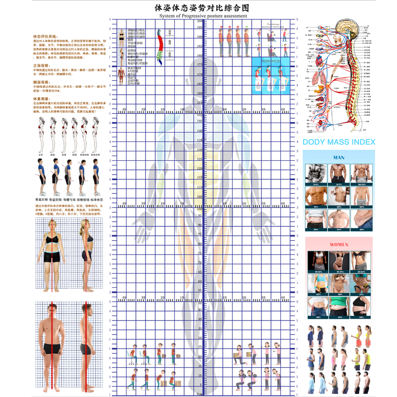 现货体态评估表瑜伽健身私教体位姿势体测表身体评估表免费加LOGO 家装主材 定制壁画 原图主图