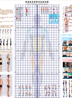 现货体态评估表瑜伽健身私教体位姿势体测表身体评估表免费加LOGO