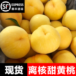 黄桃新鲜水果当季孕妇脆甜离核黄毛桃大黄肉桃子现发整箱5斤顺丰