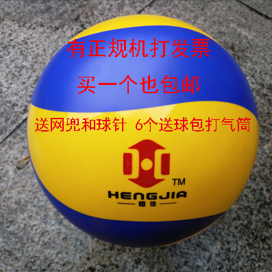 Ballon de volley - Ref 2007914 Image 1