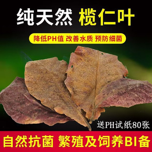 免煮榄仁叶斗鱼懒人叶鱼缸降酸PH值调节剂水族液态乌龟橄榄叶茶包