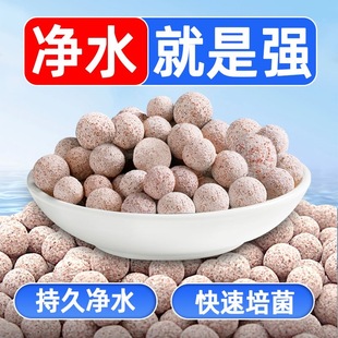 鱼缸滤材中空石英球过滤材料纳米小型滤材养鱼培菌细菌屋净水耐用