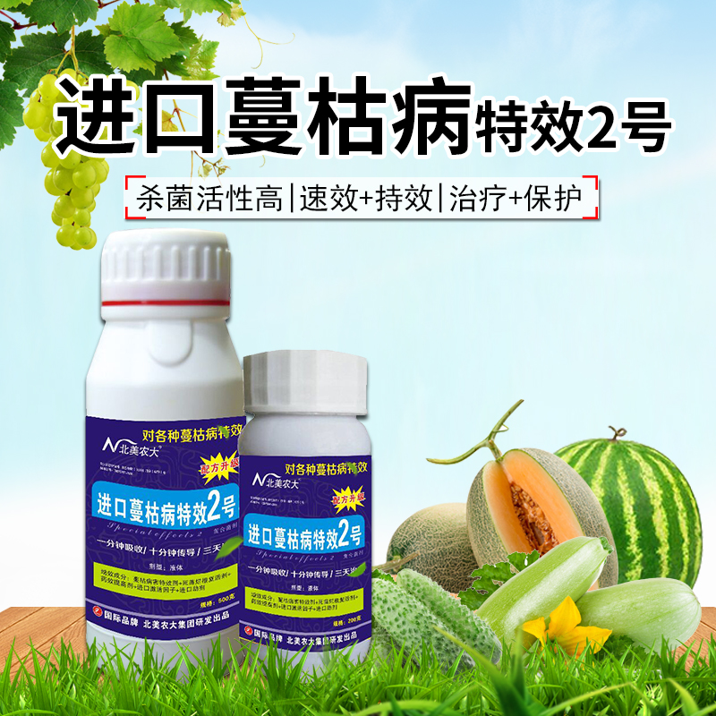 进口蔓枯病2号丝瓜黄瓜西瓜甜瓜蔓枯病枯萎 瓜类药杀菌剂北美农大