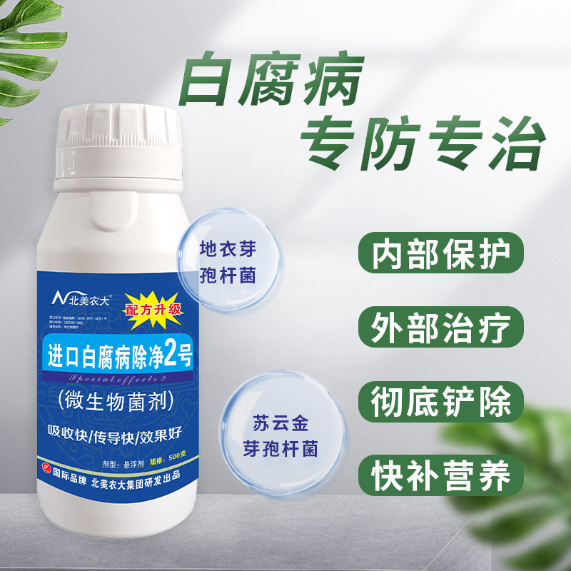 进口白腐病除净2号杀菌剂 红提葡萄白腐病专用药腐烂病农作物北美