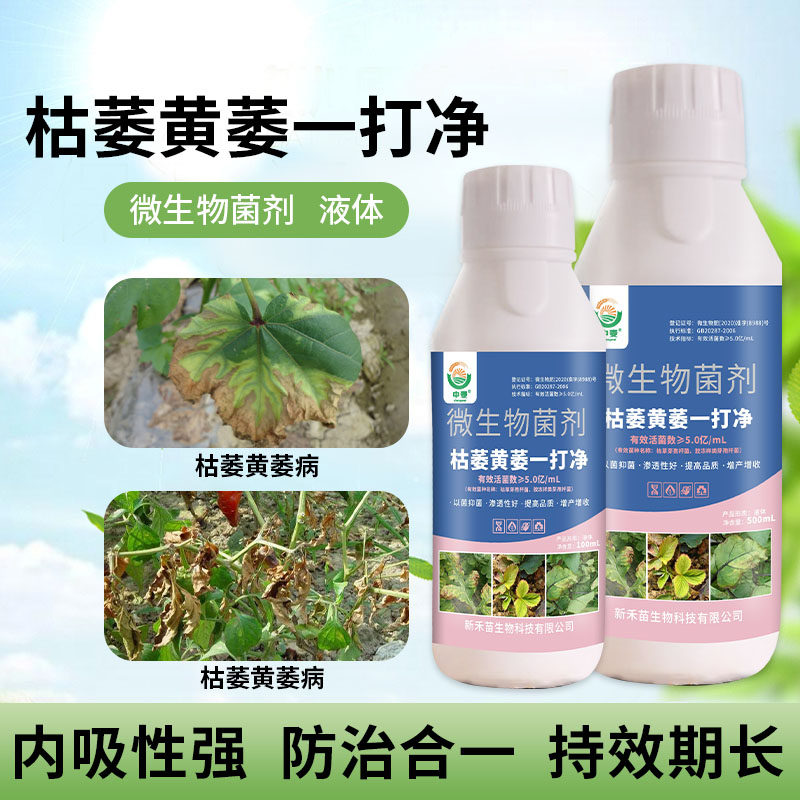 北美农大茄子枯萎病专用药