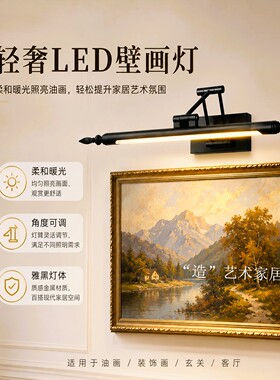 法式照画灯中古壁画灯黑色镜前灯复古美式长条挂画灯卫生间镜前灯