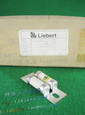 原装 GS CSCB 110 速溶保险管 110A 660VAC