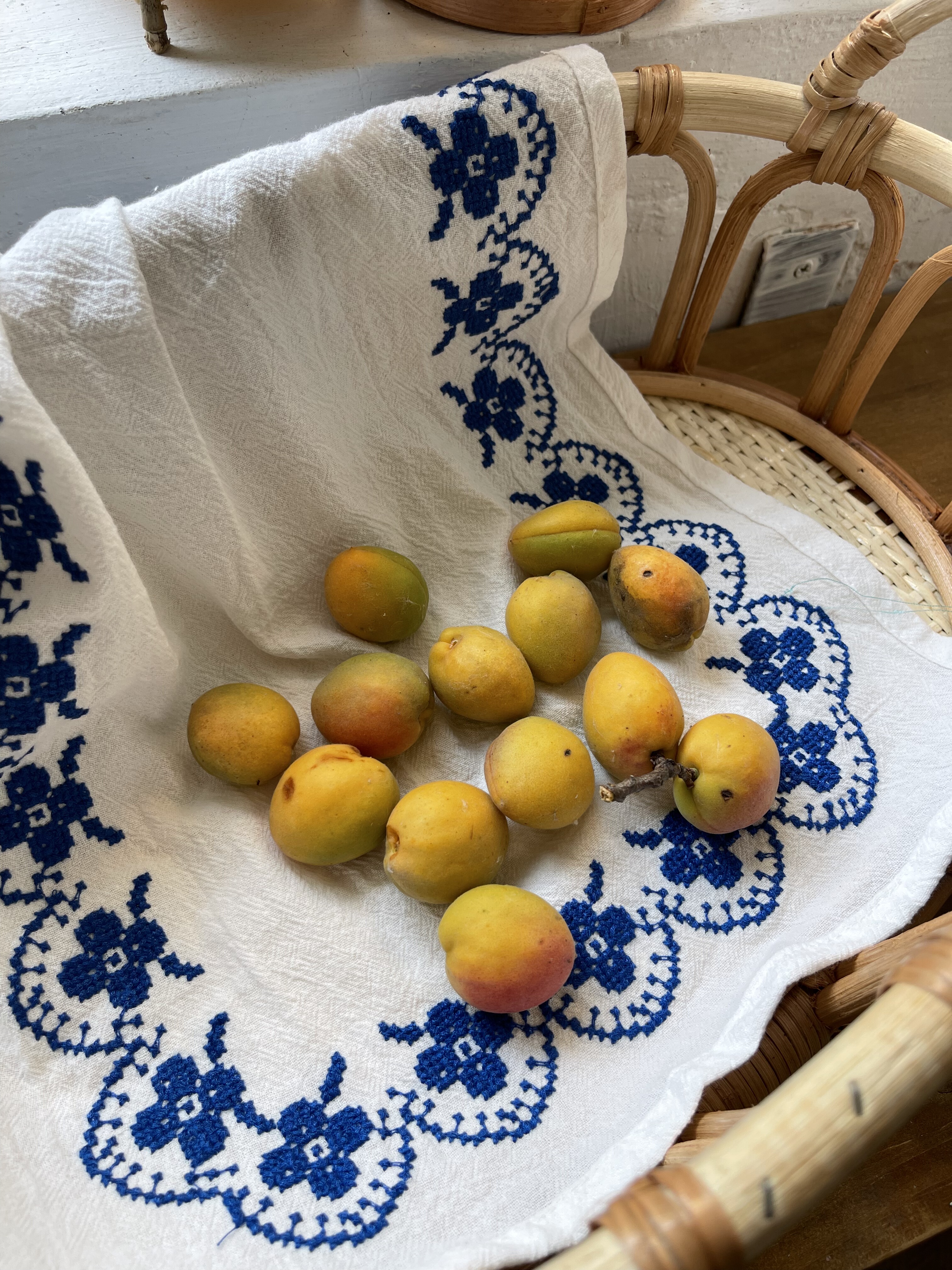 vintage法式刺绣纯棉餐垫ins复古风餐巾厨房烘焙拍照背景布