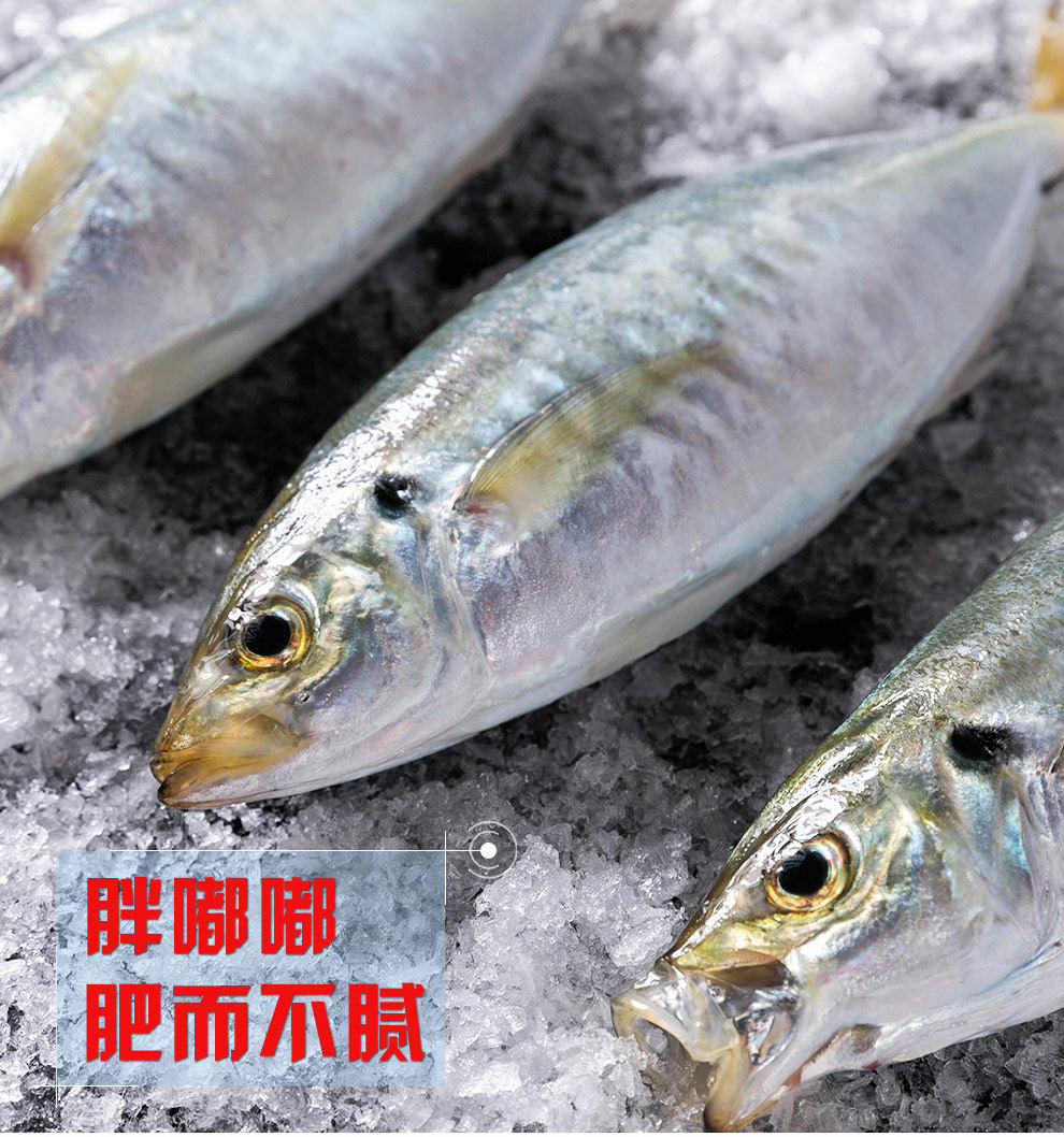 福建东山养殖巴浪鱼竹荚鱼东山岛海鲜新鲜冷冻 1kg/4-6条 顺丰