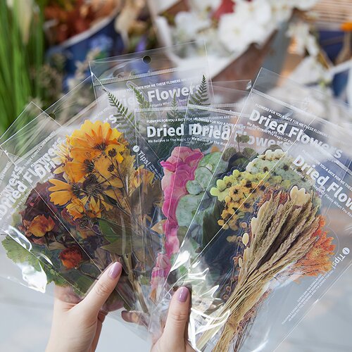 复古植物PET大贴纸透明防水diy