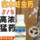 蛀木虫药木家具专用杀虫剂木地板实木门框蛀虫防木头专用粉蠹虫药