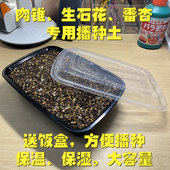 天然颗粒配方土肉锥生石花专用播种营养土多肉植物种子播种土 包邮