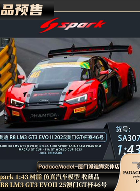 [PDS]Spark 1:43 奥迪R8 LM3 GT3 EVOII 25澳门GT杯46号 树脂车模