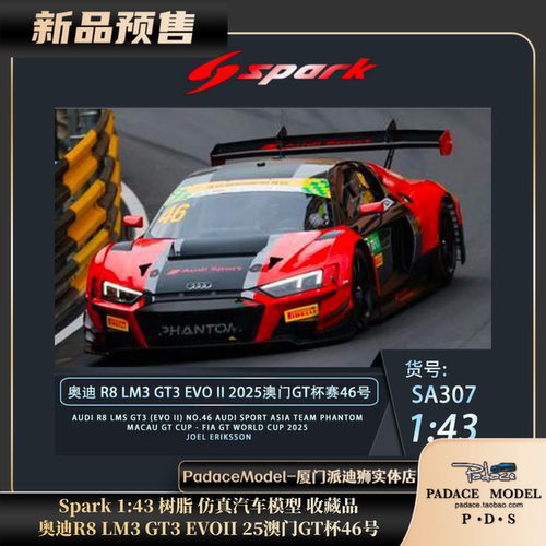 奥迪R8LM3GT3EVOII25澳门GT杯