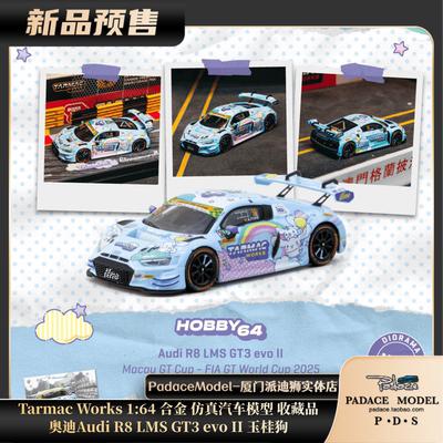 奥迪AudiR8LMSGT3evoII玉桂狗