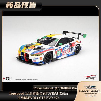 118宝马BMWM4GT3EVO#96
