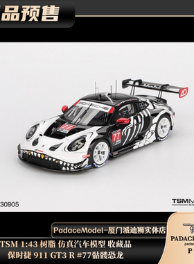 [PDS]TSM 1:43 保时捷 911 GT3 R #77 骷髅恐龙 树脂车模 收藏品