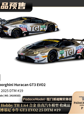 [PDS]TH 1:64 兰博基尼 小牛 GT3 EVO2 25 DTM #19 合金车模