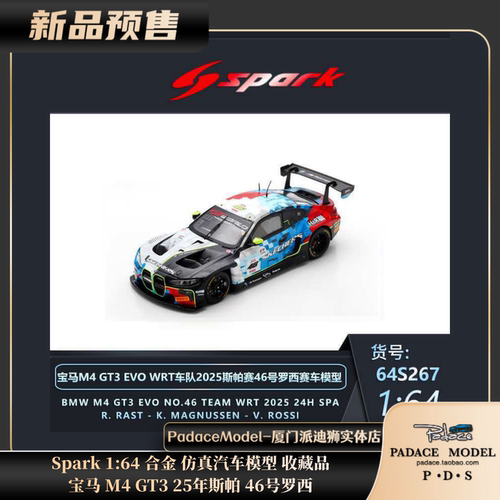 宝马M4GT325年斯帕46号罗西