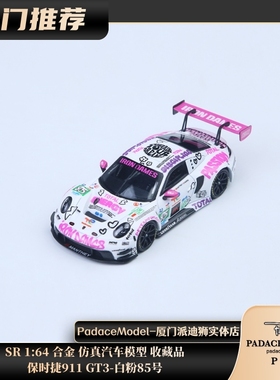 [PDS]SR 1:64 保时捷911 GT3-白粉85号 合金 仿真汽车模型 收藏品